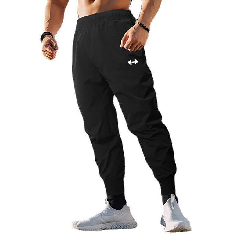 Gym bodybuilding pants